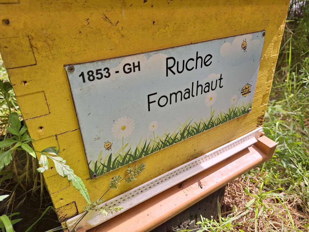La ruche Fomalhaut