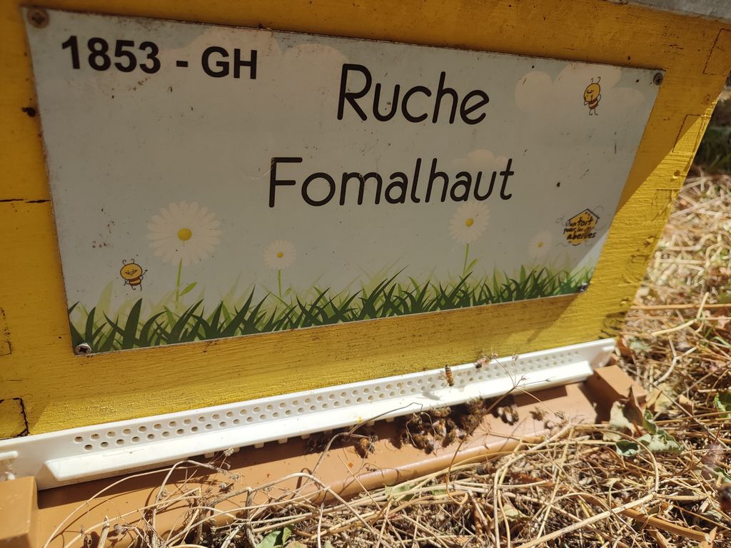 La ruche Fomalhaut