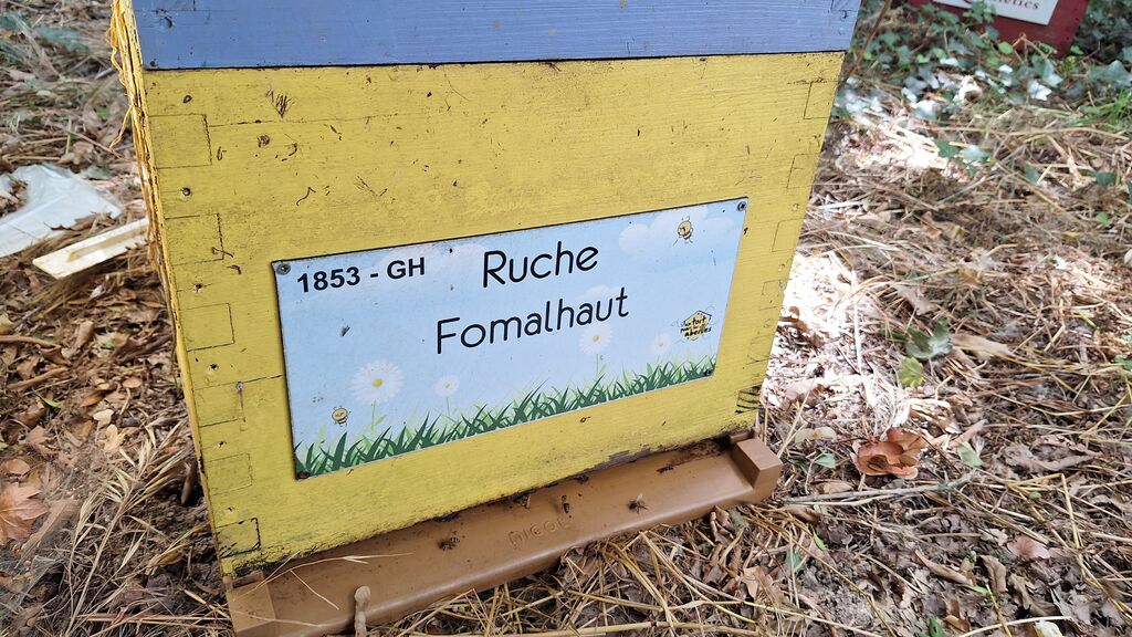 La ruche Fomalhaut
