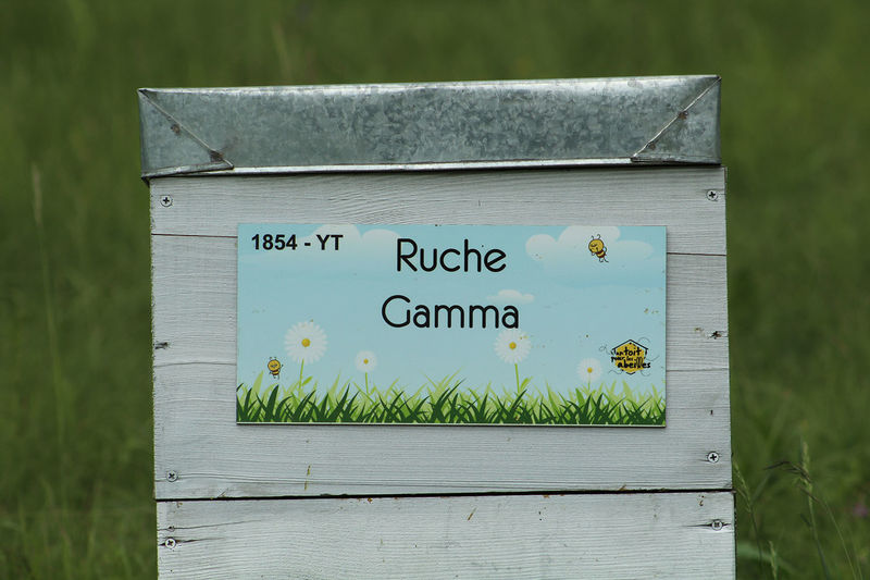 La ruche Gamma