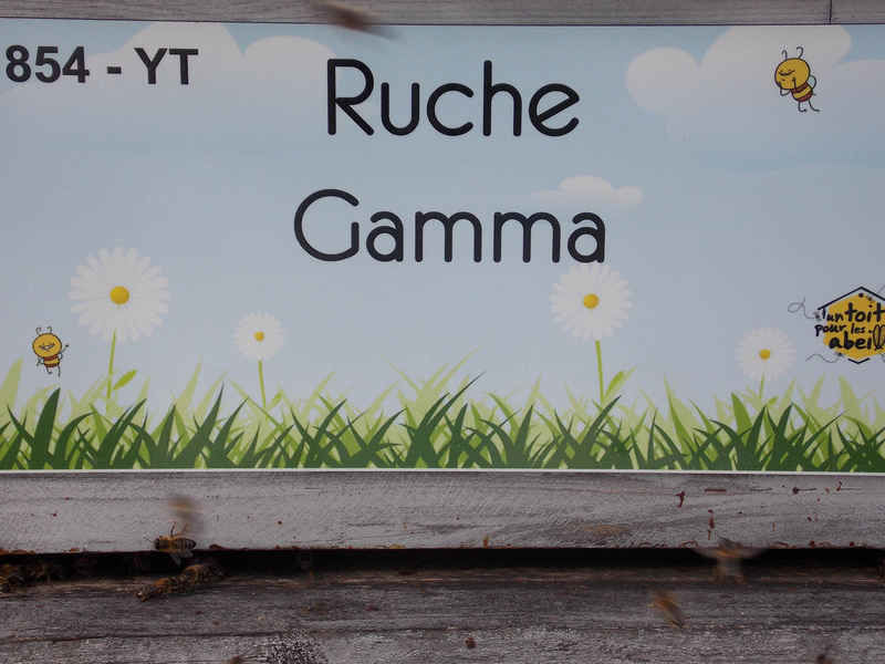 La ruche
