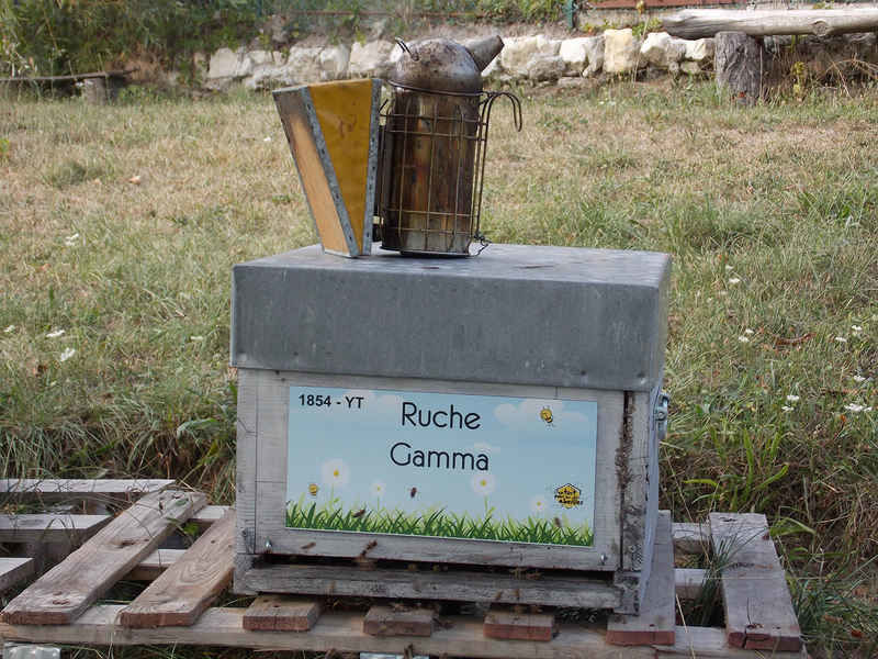 La ruche Gamma