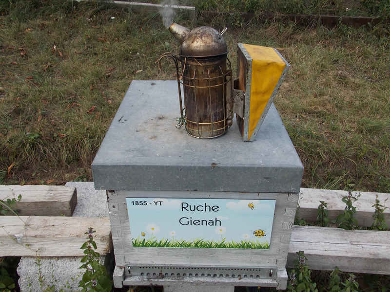 La ruche