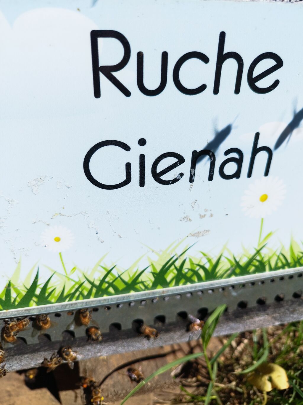 La ruche Gienah