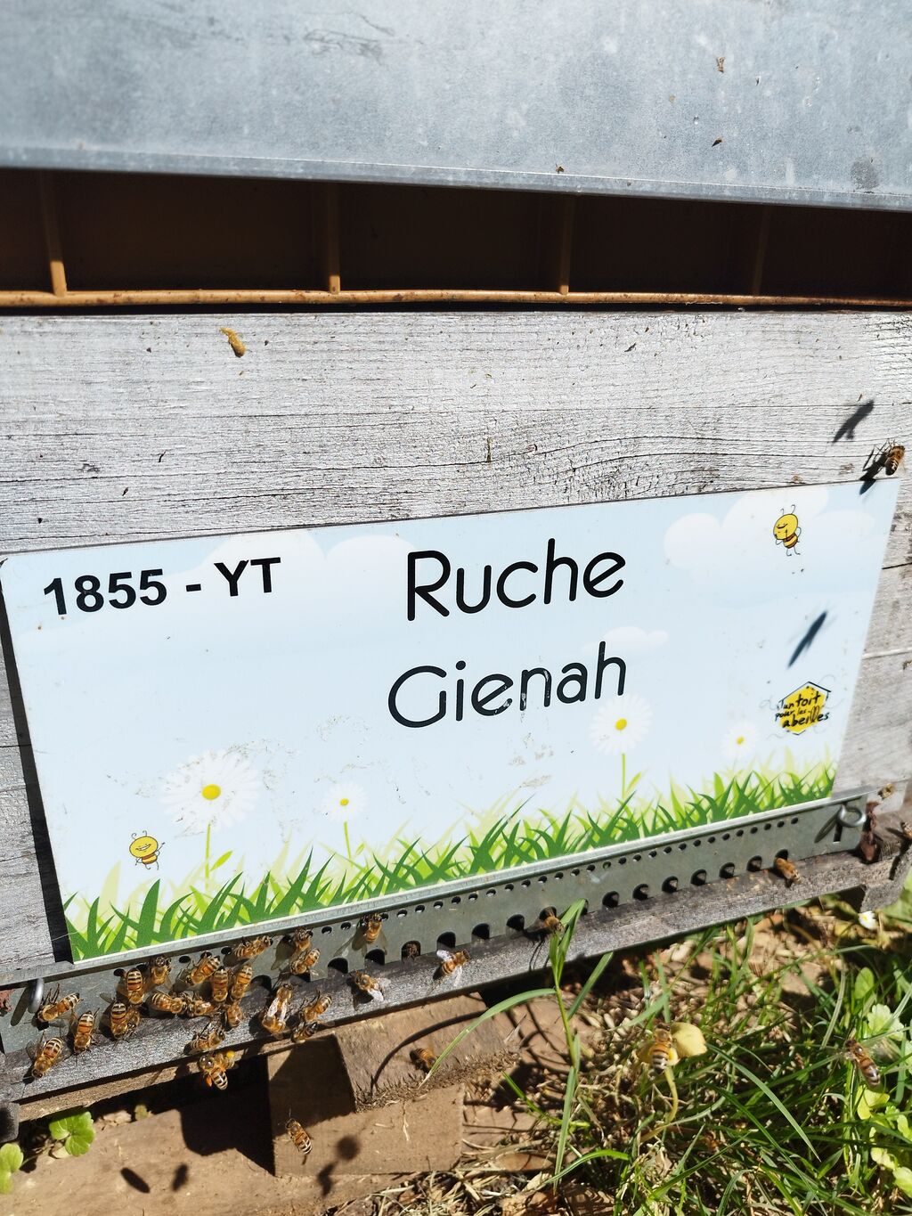 La ruche Gienah