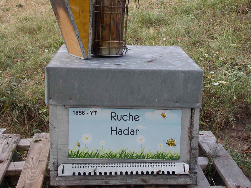 La ruche 