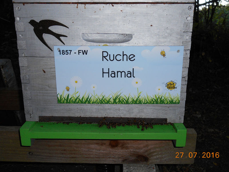 La ruche Hamal