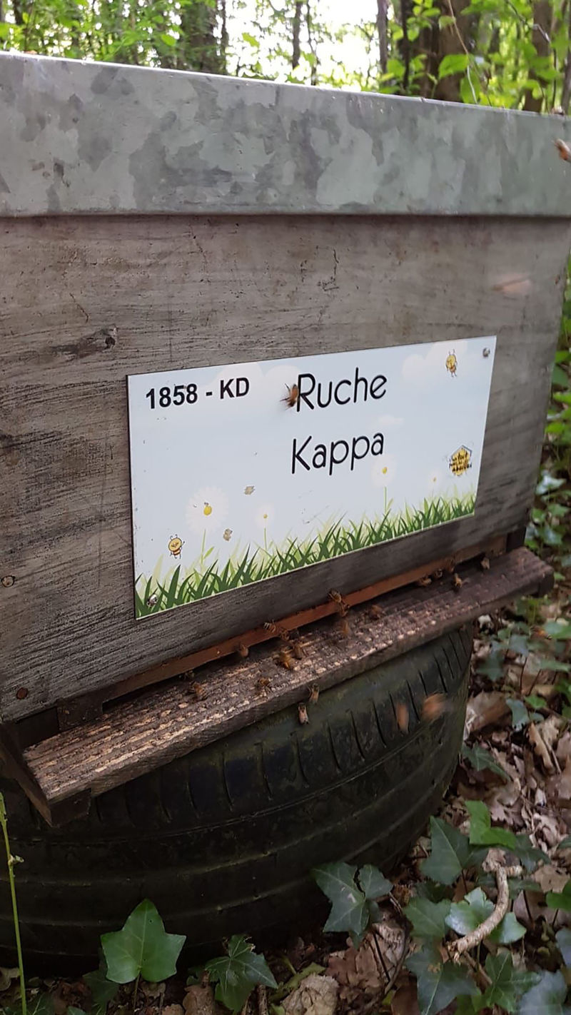 La ruche Kappa 