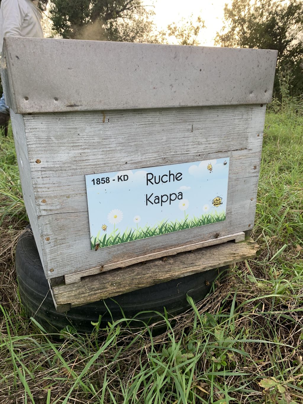 La ruche Kappa 