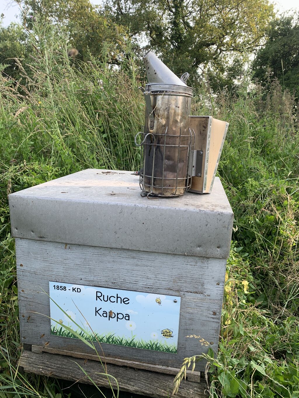 La ruche Kappa 