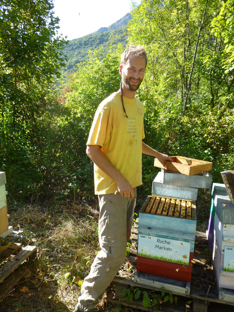 La ruche Markab