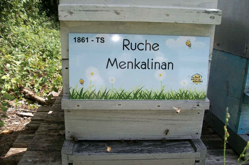La ruche Menkalinan