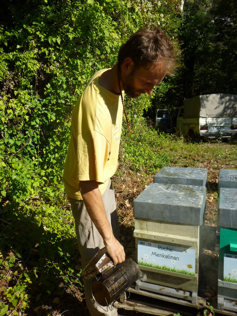 La ruche Menkalinan