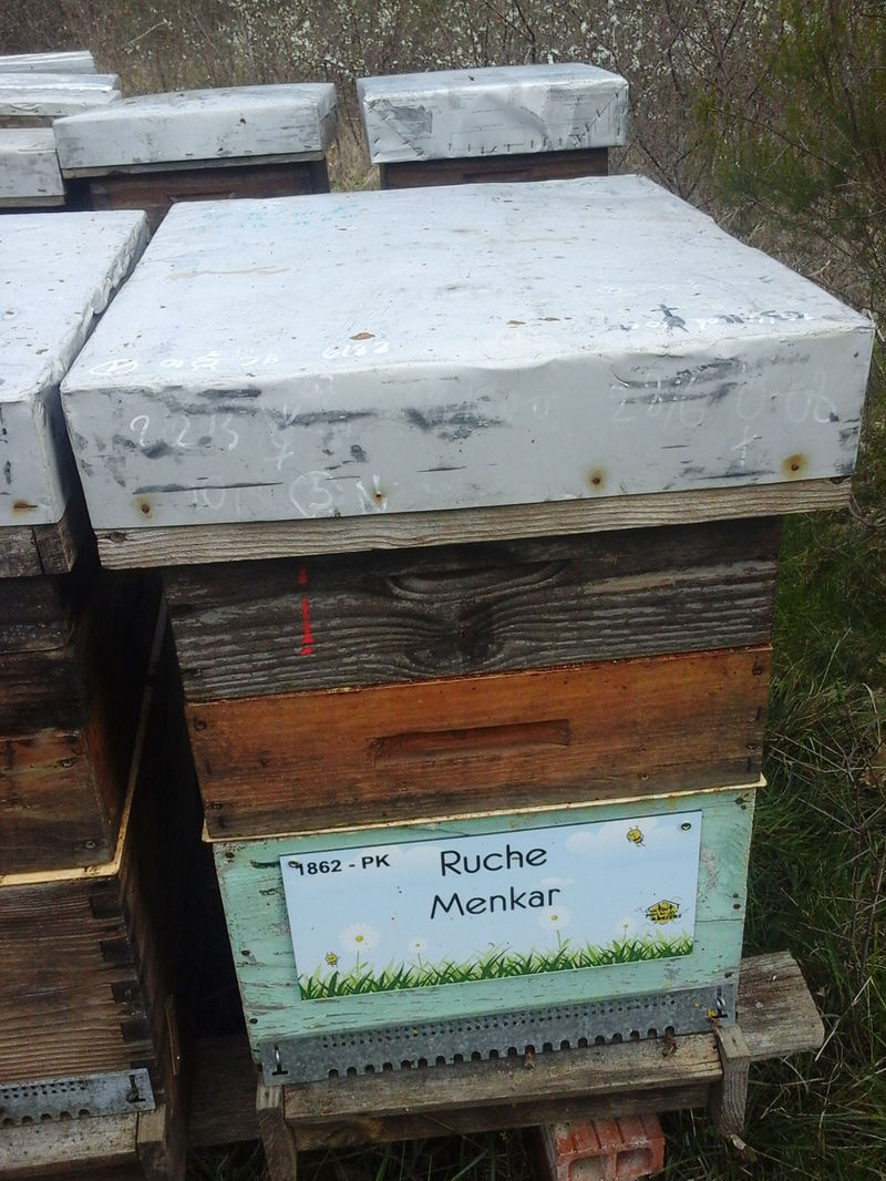 La ruche