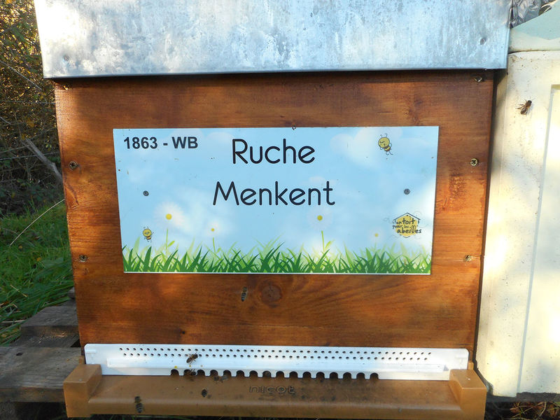 La ruche Menkent