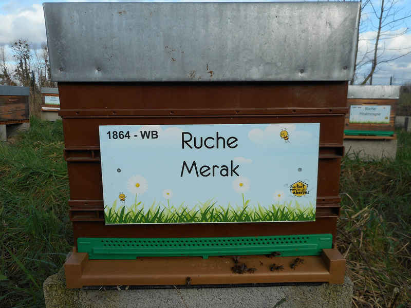 La ruche