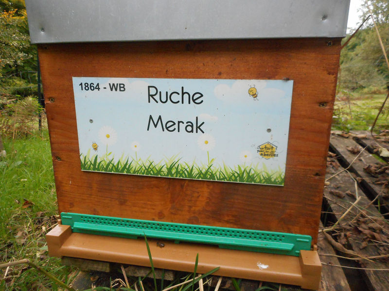 La ruche Merak