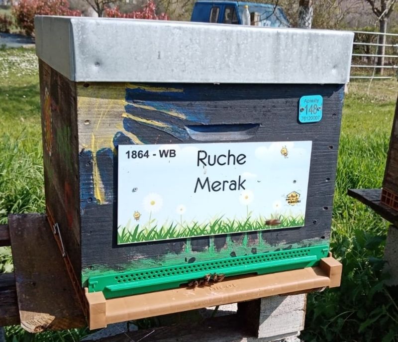 La ruche Merak
