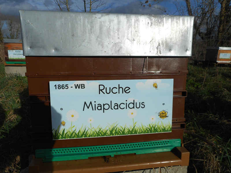 La ruche