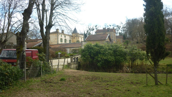 La ruche Locustelle tachetée