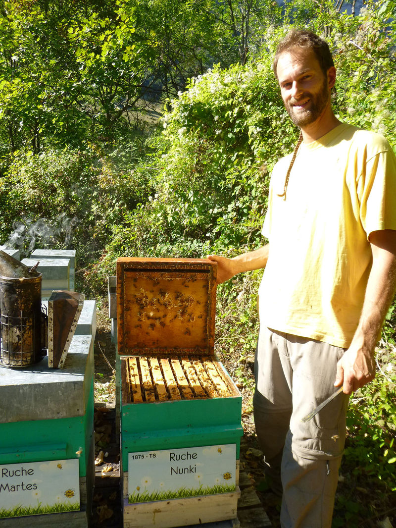 La ruche Nunki