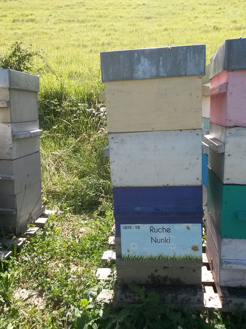 La ruche Nunki