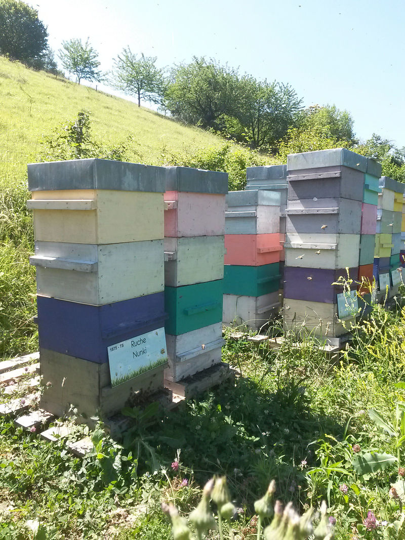 La ruche Nunki