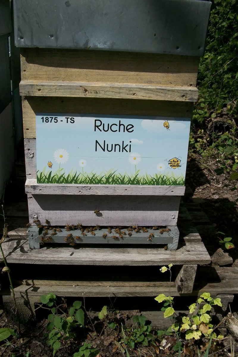 La ruche Nunki