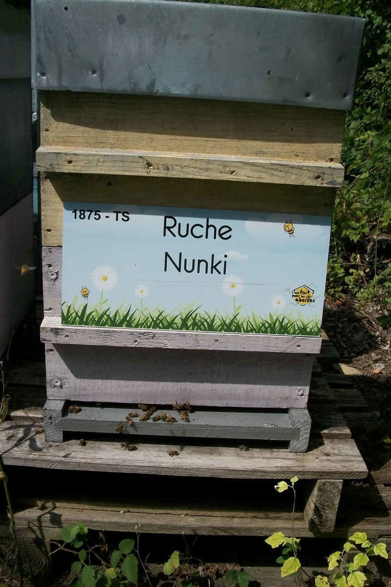 La ruche Nunki