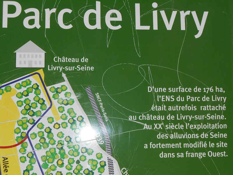 La ruche Cisticole des joncs