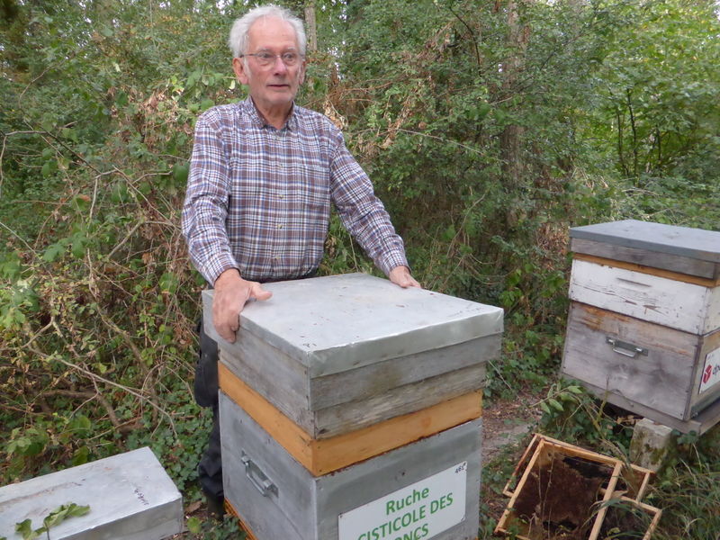 La ruche Cisticole des joncs