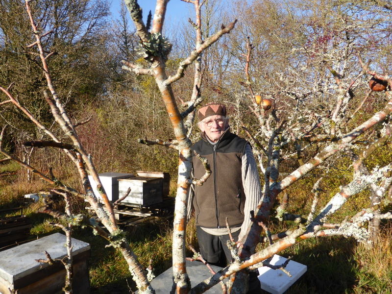 La ruche Cisticole des joncs