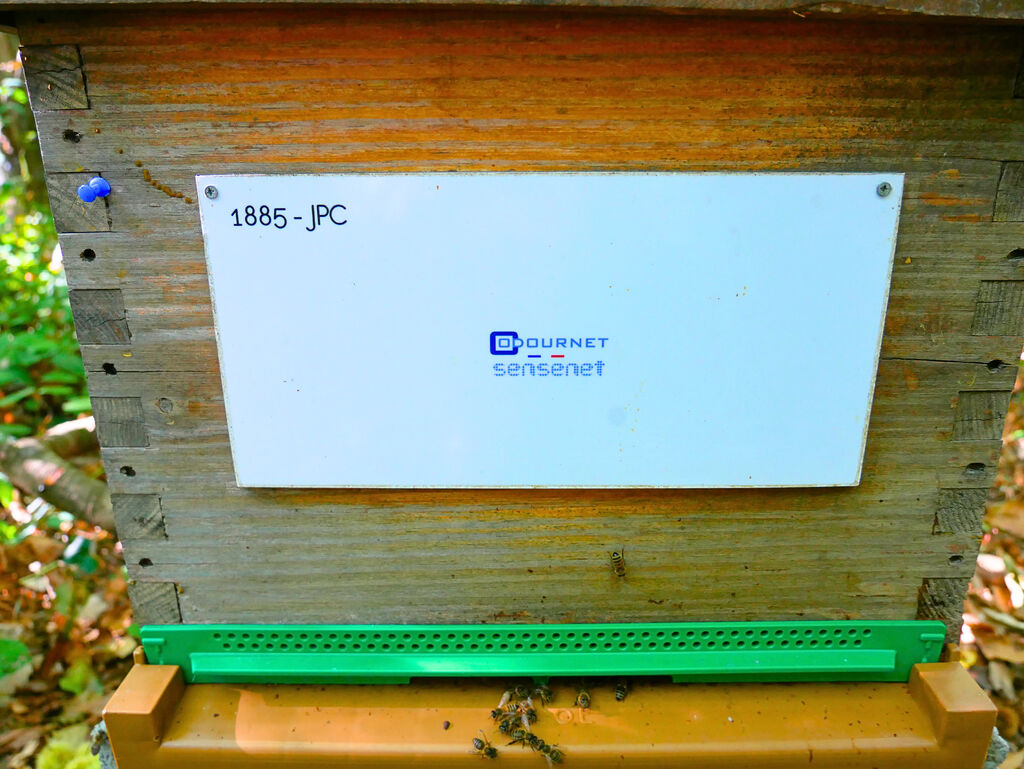 La ruche ODOURNET FRANCE - SENSENET