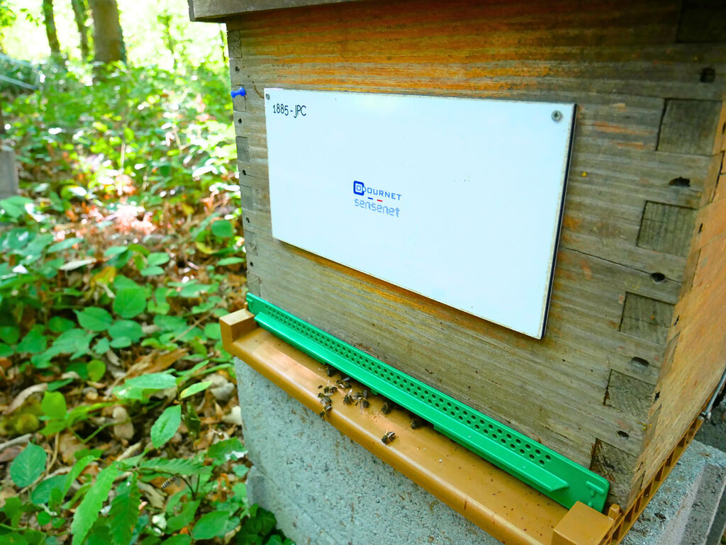 La ruche ODOURNET FRANCE - SENSENET