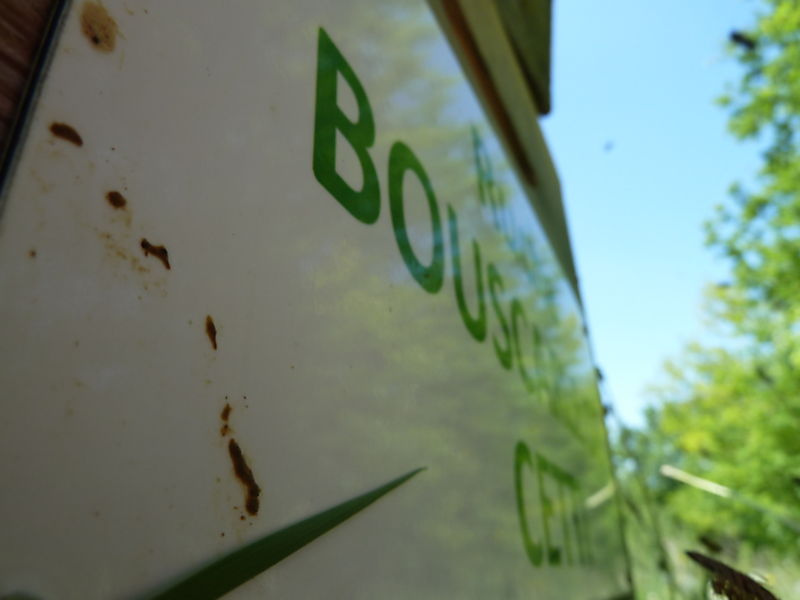 La ruche Bouscarle de cetti