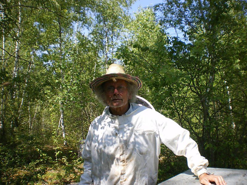 La ruche Bouscarle de cetti