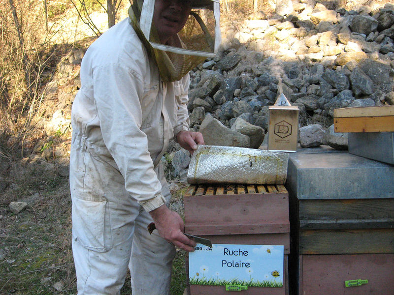 La ruche Polaire