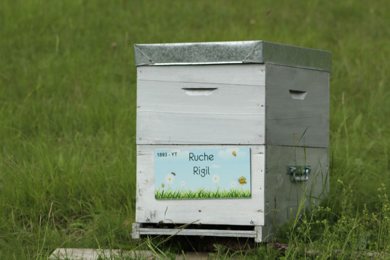 La ruche Rigil