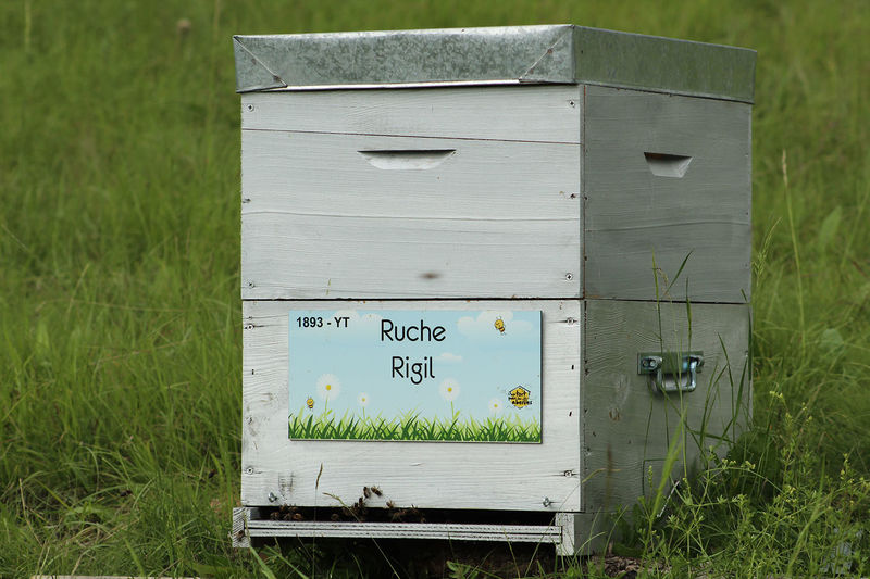 La ruche Rigil