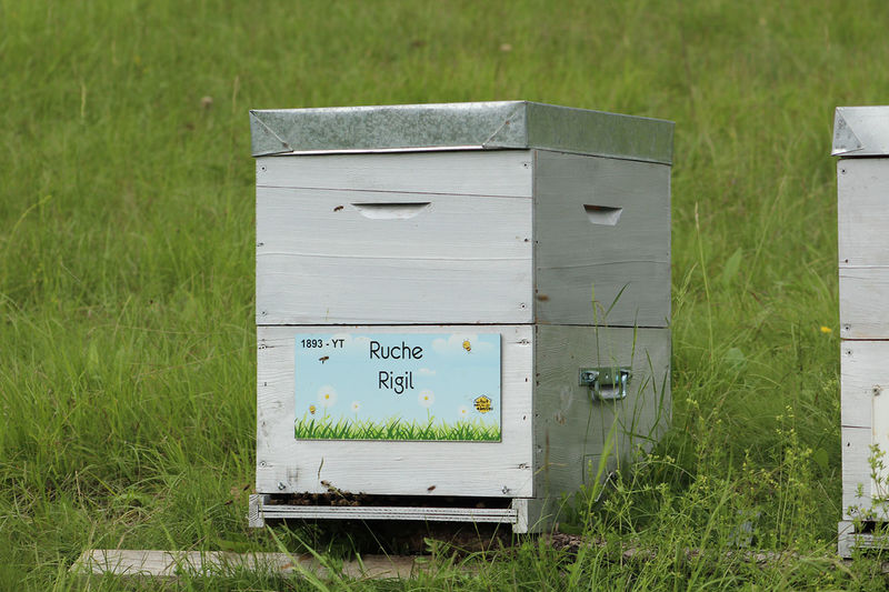 La ruche Rigil
