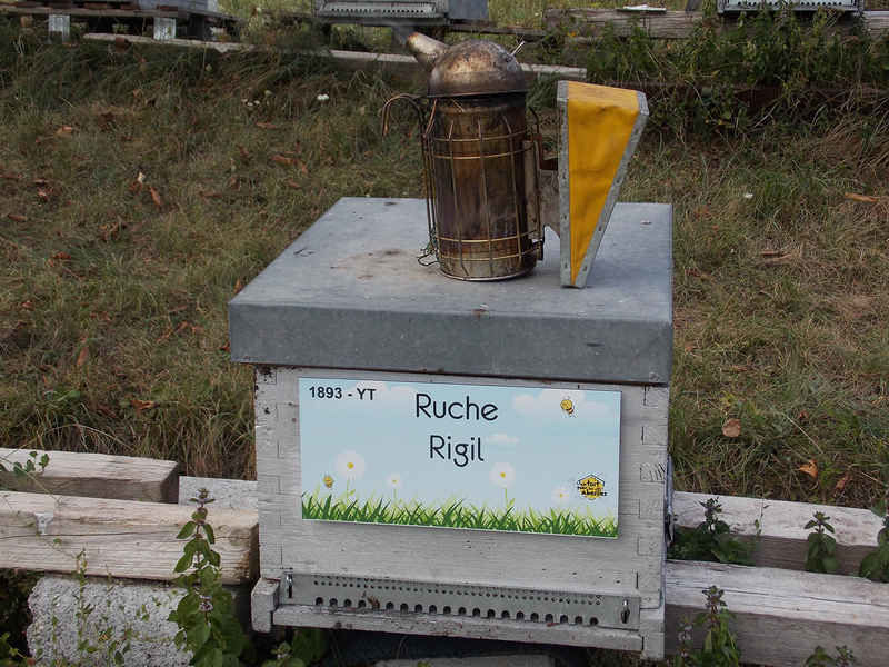 La ruche 