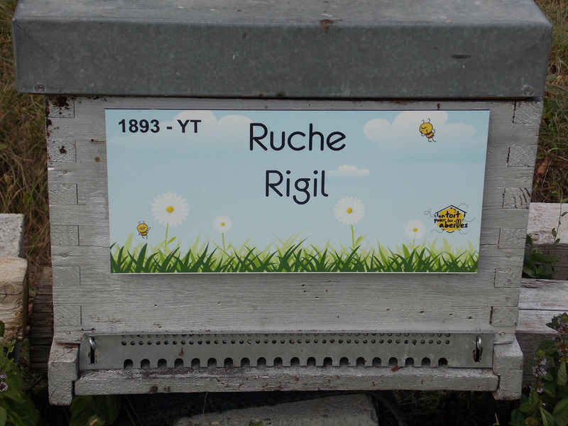 La ruche Rigil