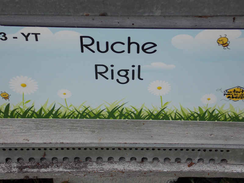 La ruche Rigil
