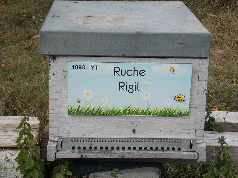 La ruche Rigil