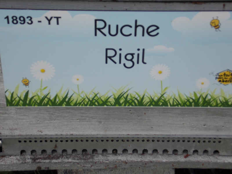 La ruche Rigil