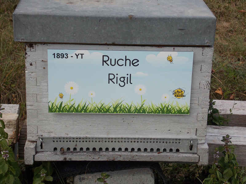La ruche Rigil