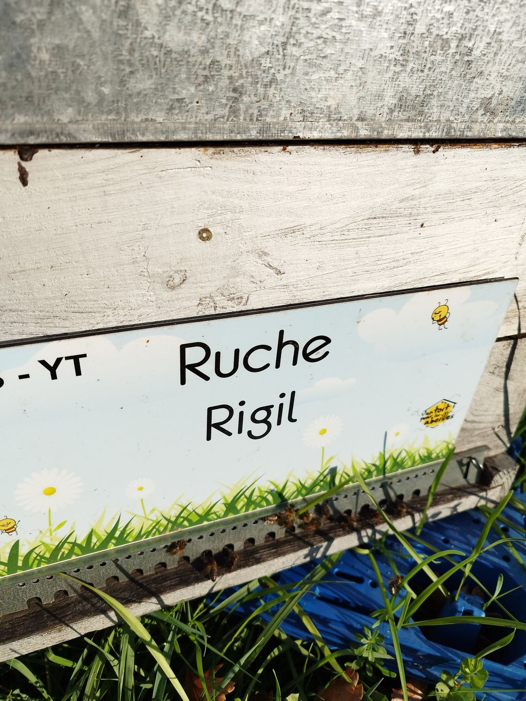 La ruche Rigil