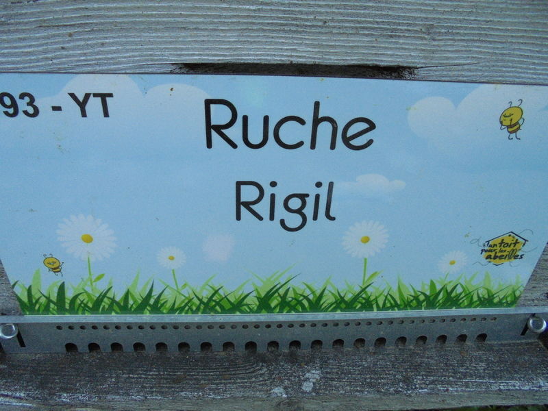 La ruche Rigil