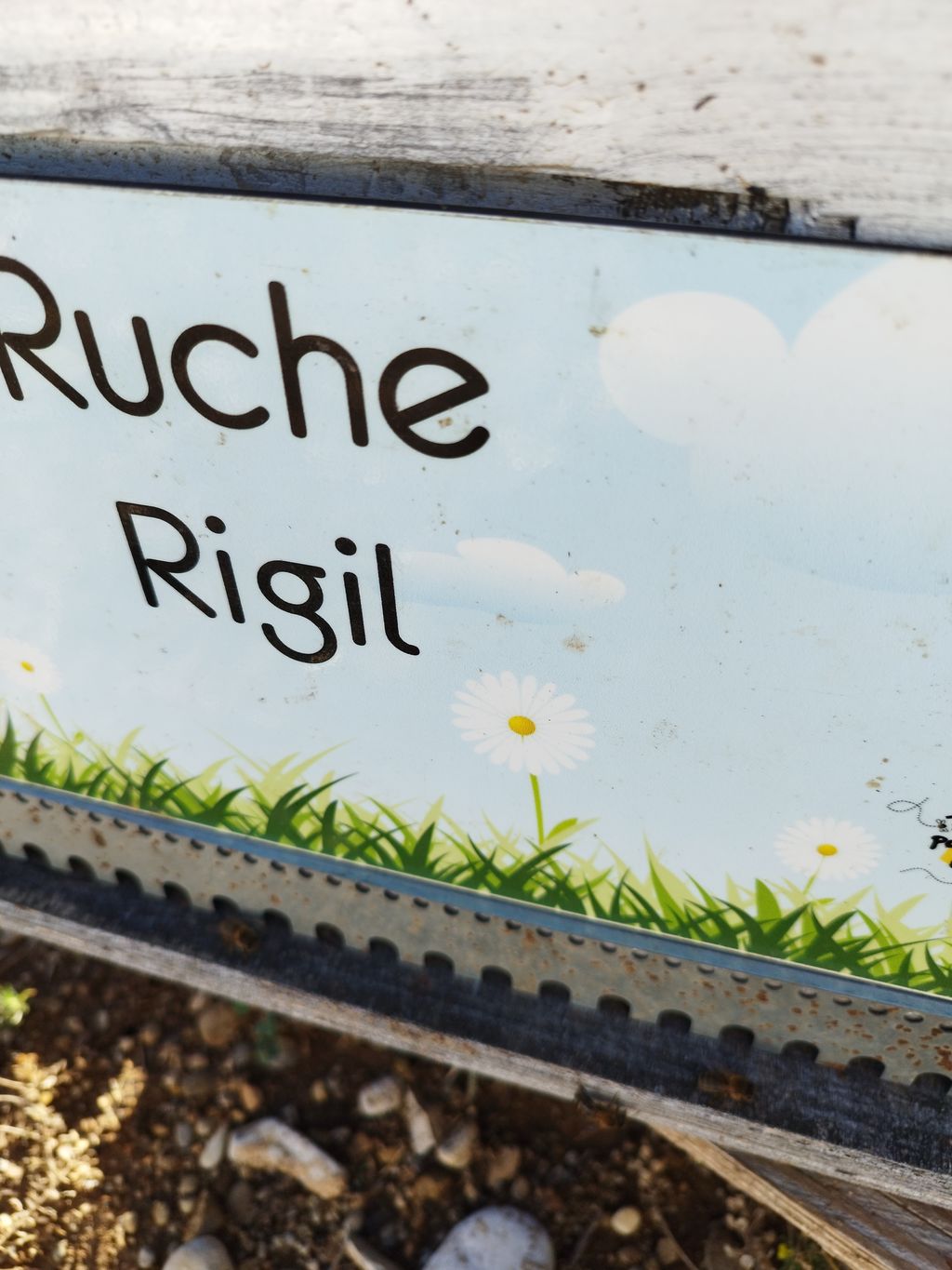 La ruche Rigil