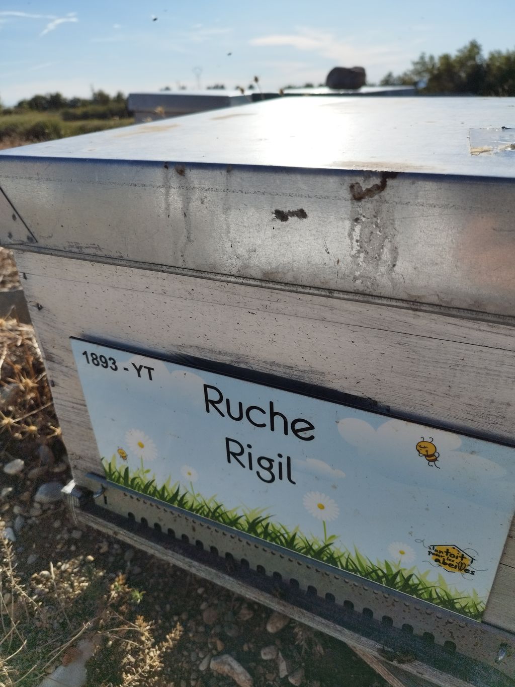 La ruche Rigil